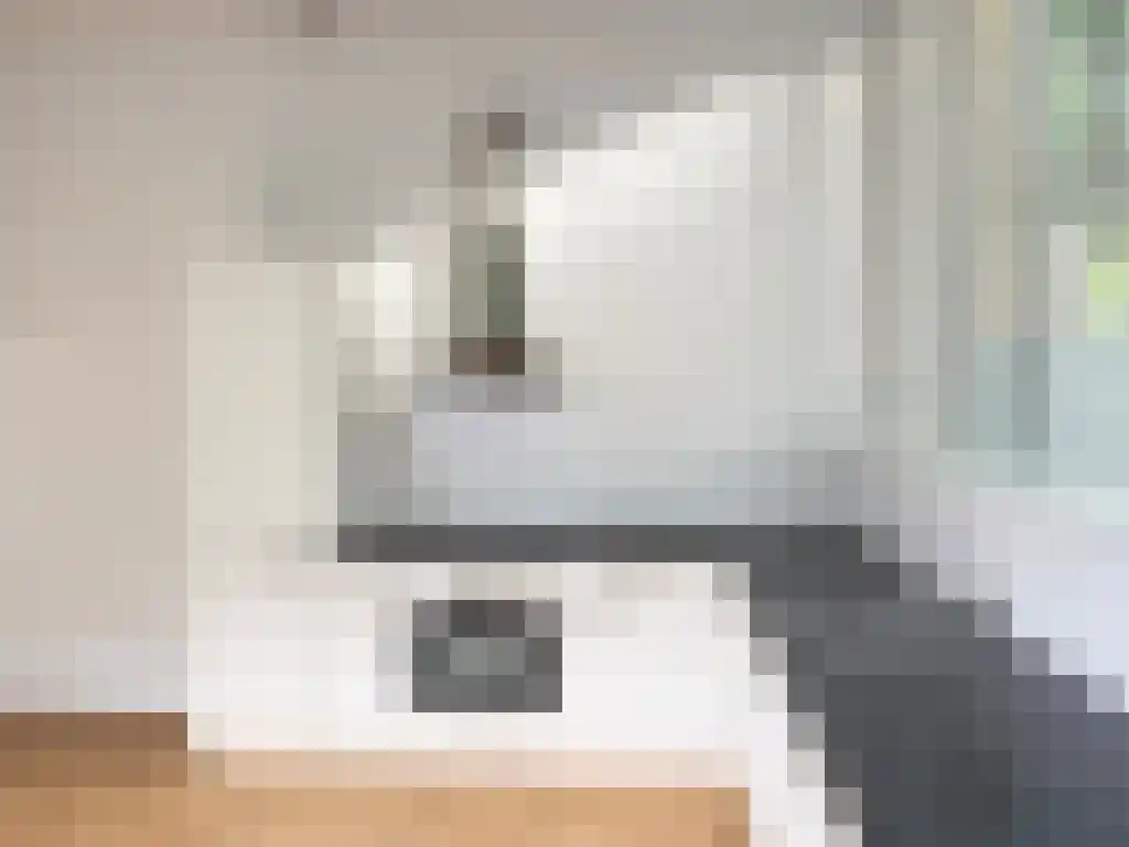 Rodenrijselaan 13 B Rotterdam thumbnail 6