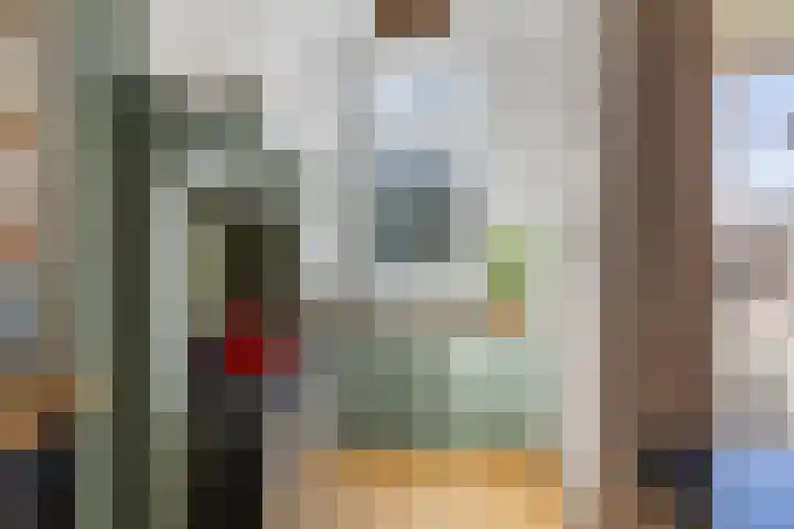 Rodenrijselaan 15 A Rotterdam thumbnail 20