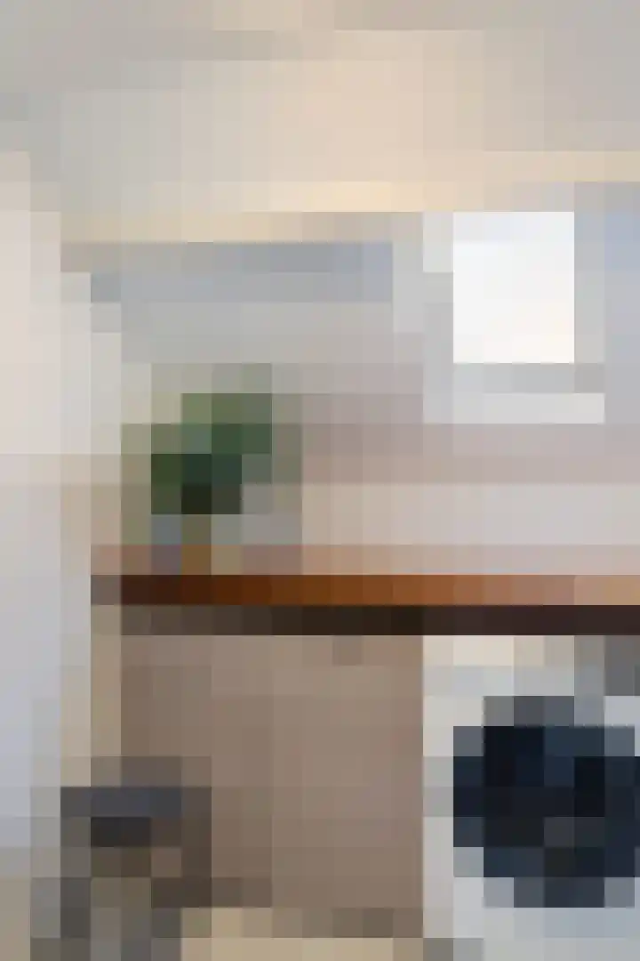 Rodenrijselaan 15 A Rotterdam thumbnail 32