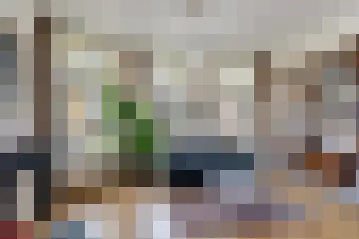 Rodenrijselaan 15 A Rotterdam thumbnail 4