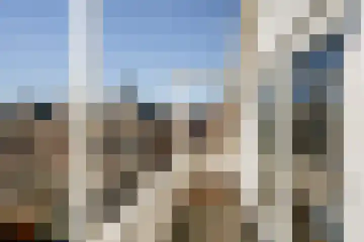 Rodenrijselaan 15 A Rotterdam thumbnail 42