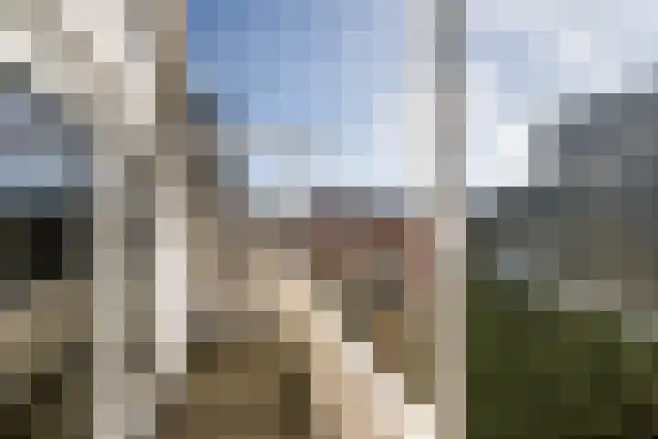 Rodenrijselaan 15 A Rotterdam thumbnail 43