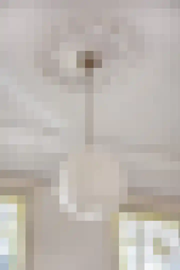 Rodenrijselaan 15 A Rotterdam thumbnail 7