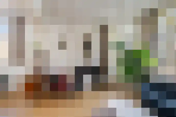 Rodenrijselaan 15 A Rotterdam thumbnail 8
