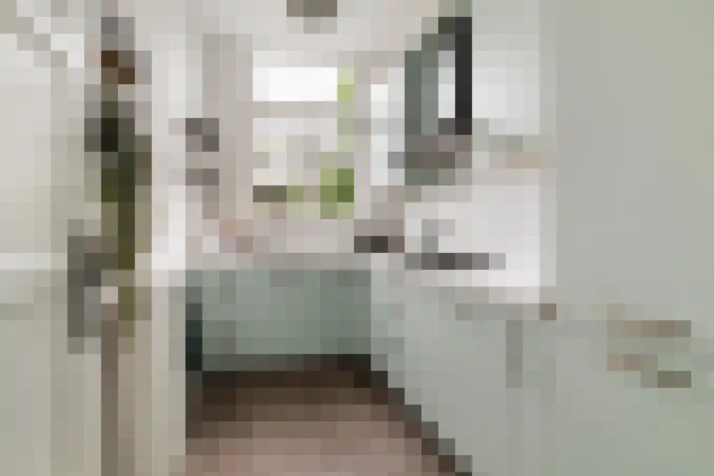 Rodenrijselaan 18 A Rotterdam thumbnail 8