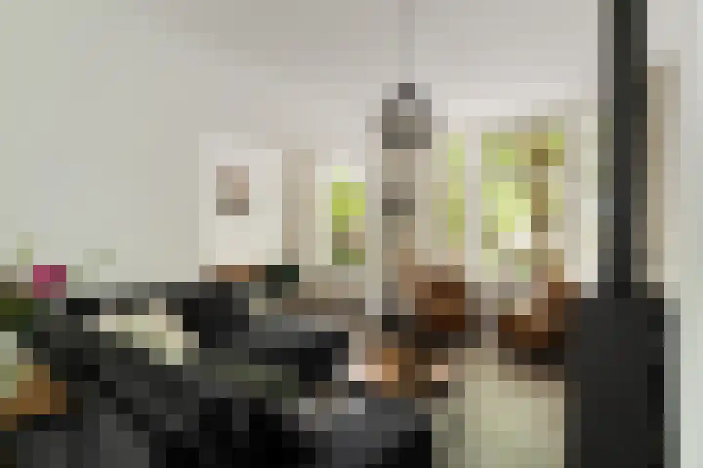 Rodenrijselaan 18 B Rotterdam thumbnail 4