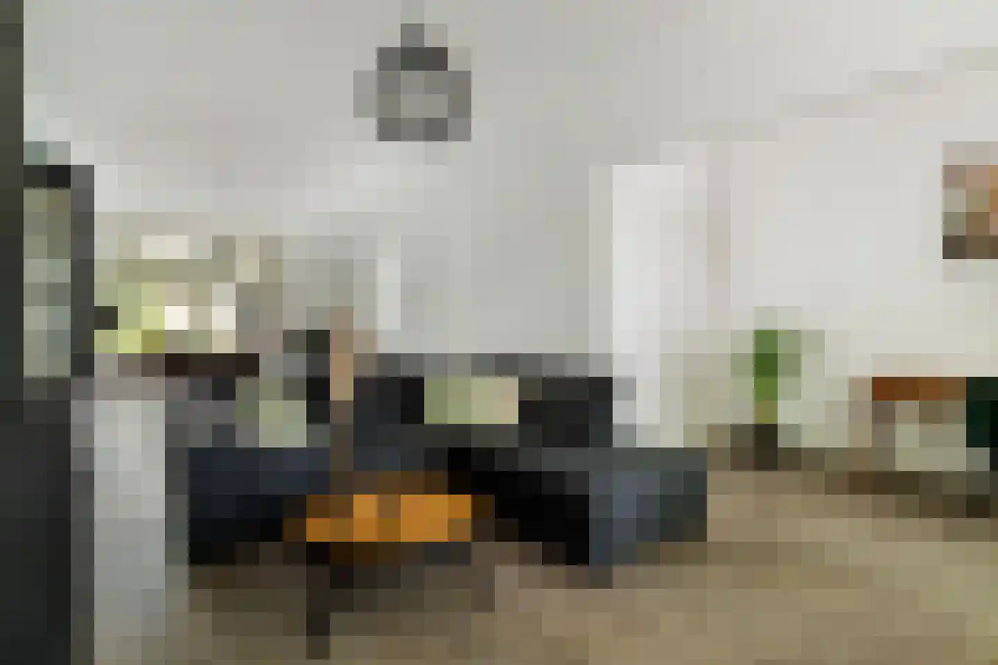 Rodenrijselaan 18 B Rotterdam thumbnail 6