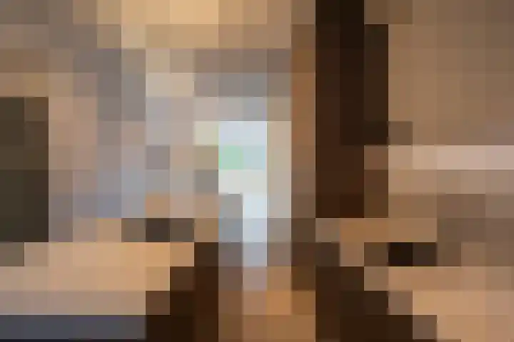 Rodenrijselaan 25 D Rotterdam thumbnail 11
