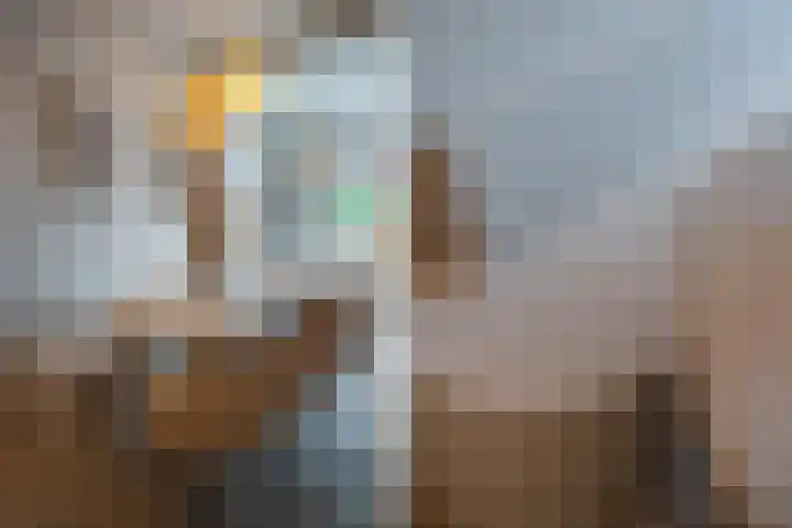 Rodenrijselaan 25 D Rotterdam thumbnail 12