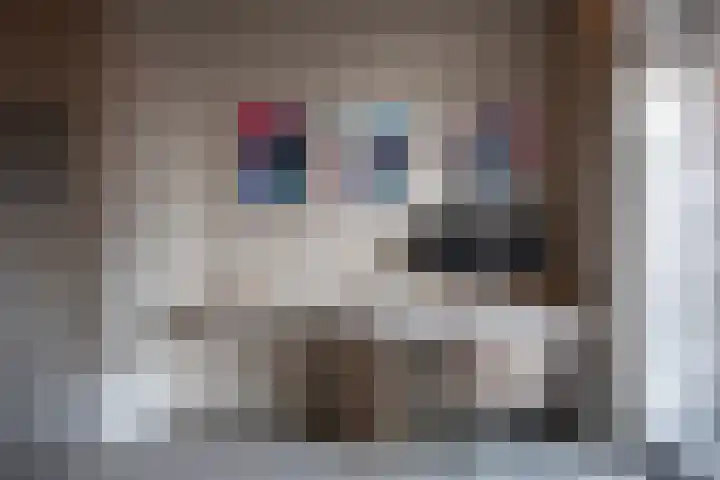 Rodenrijselaan 25 D Rotterdam thumbnail 13