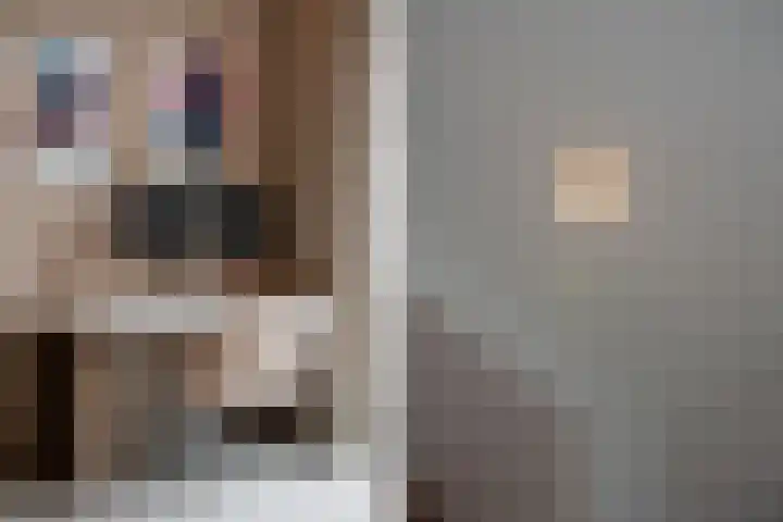 Rodenrijselaan 25 D Rotterdam thumbnail 14
