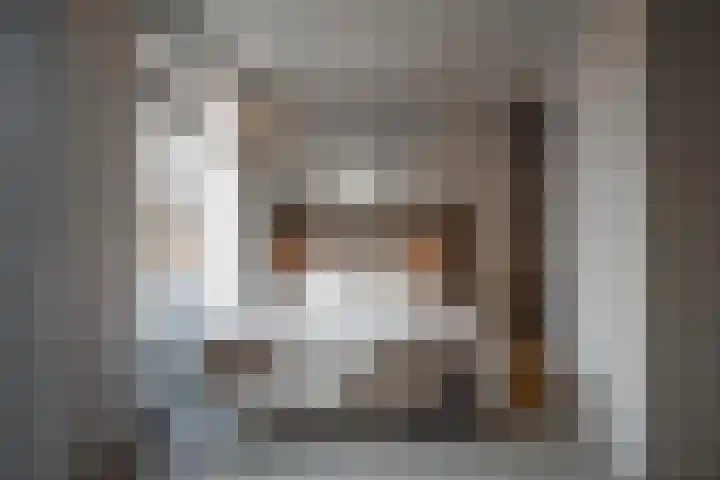 Rodenrijselaan 25 D Rotterdam thumbnail 16
