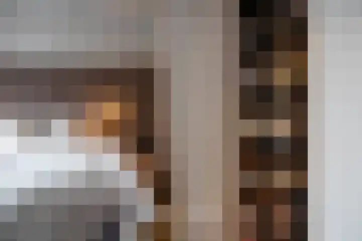 Rodenrijselaan 25 D Rotterdam thumbnail 17