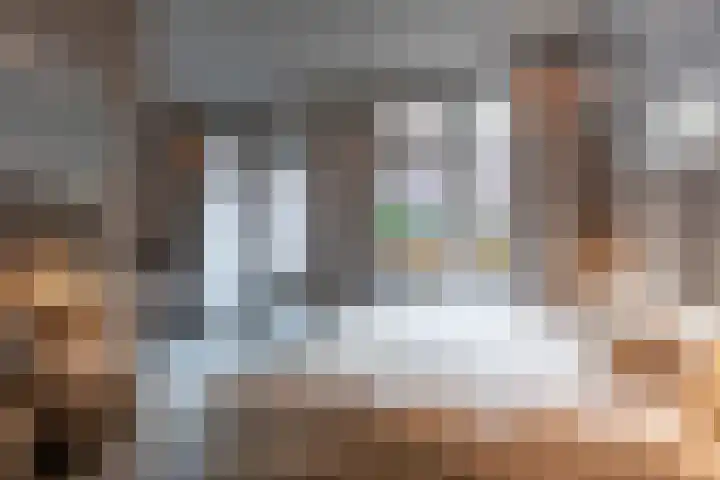 Rodenrijselaan 25 D Rotterdam thumbnail 18