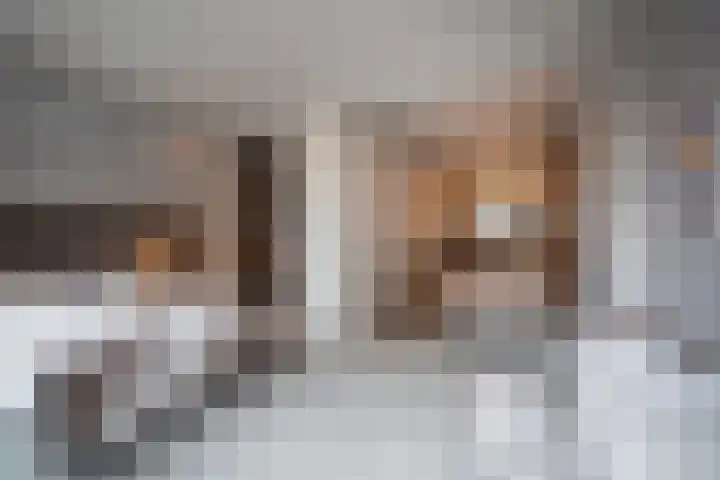 Rodenrijselaan 25 D Rotterdam thumbnail 19
