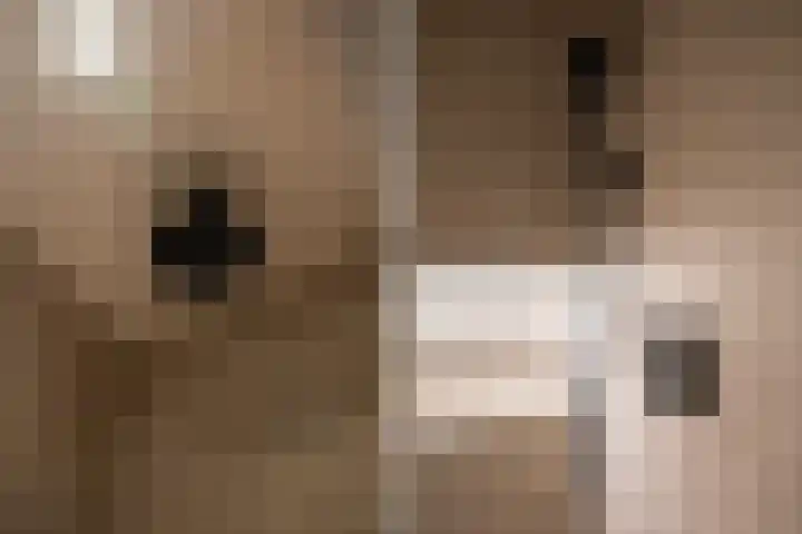 Rodenrijselaan 25 D Rotterdam thumbnail 21