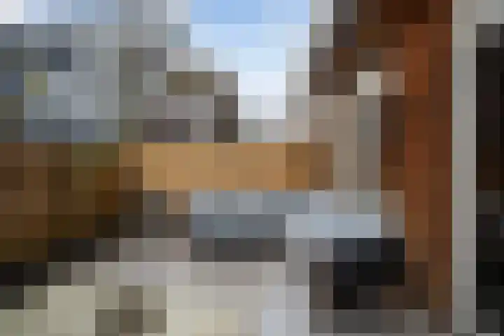 Rodenrijselaan 25 D Rotterdam thumbnail 26