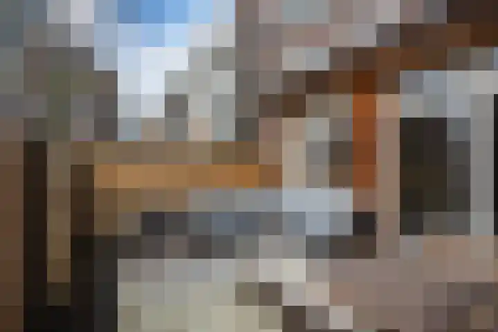 Rodenrijselaan 25 D Rotterdam thumbnail 28