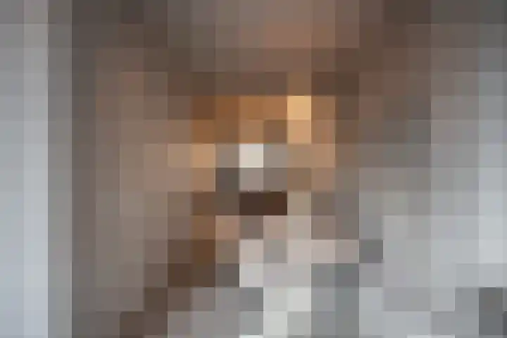 Rodenrijselaan 25 D Rotterdam thumbnail 30