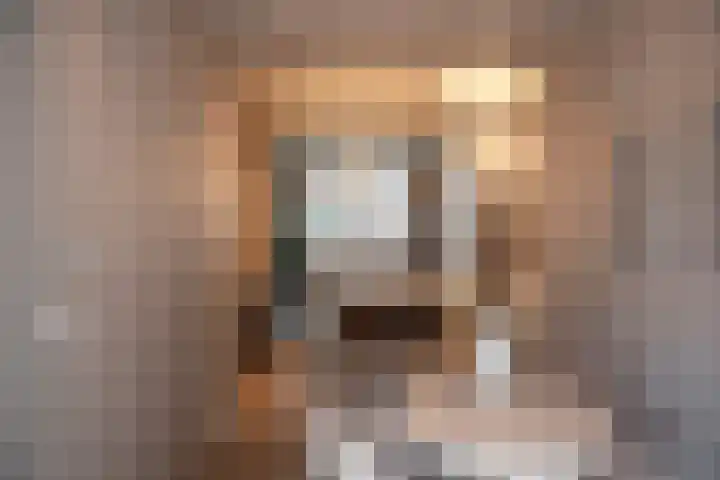 Rodenrijselaan 25 D Rotterdam thumbnail 31