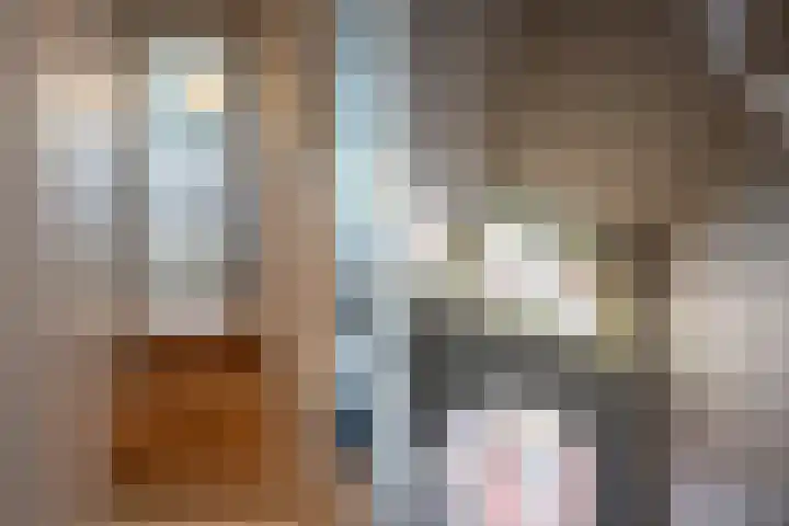 Rodenrijselaan 25 D Rotterdam thumbnail 34
