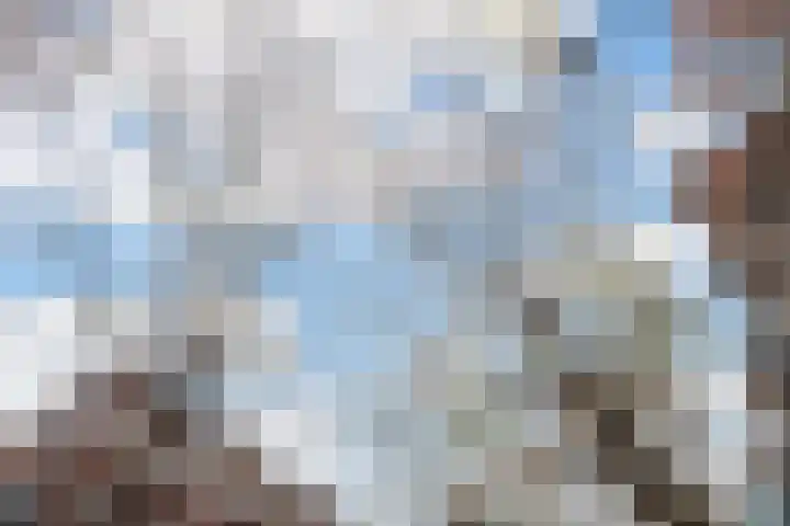 Rodenrijselaan 25 D Rotterdam thumbnail 39
