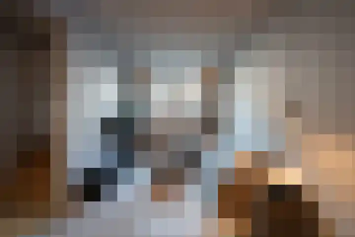 Rodenrijselaan 25 D Rotterdam thumbnail 6