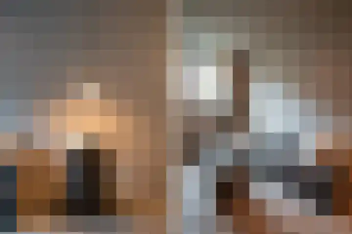 Rodenrijselaan 25 D Rotterdam thumbnail 8