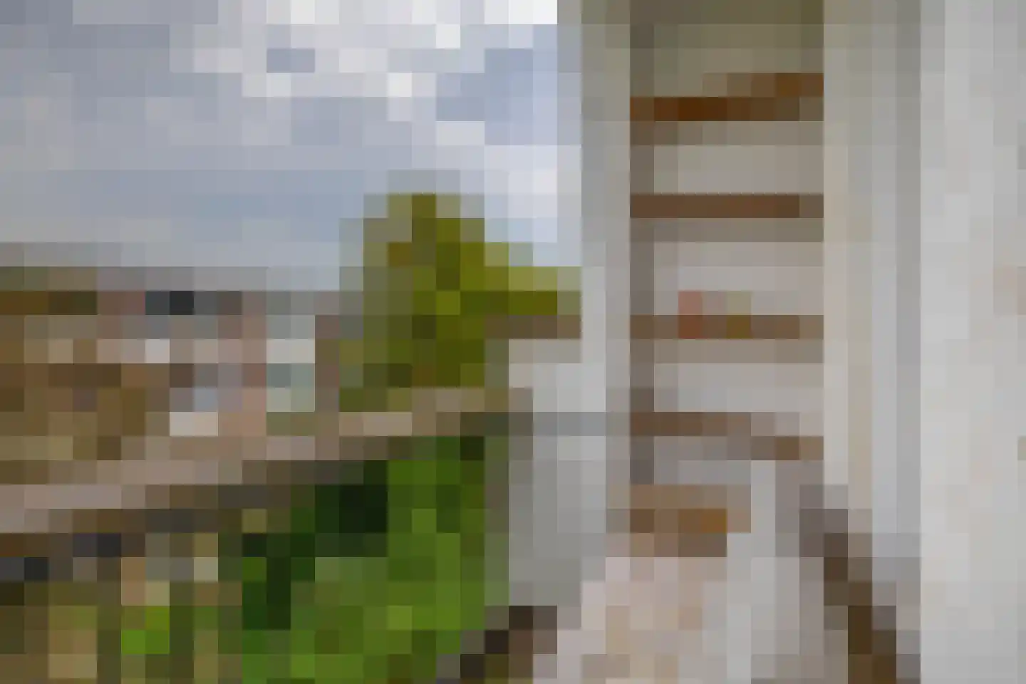 Rodenrijselaan 26 A Rotterdam thumbnail 20