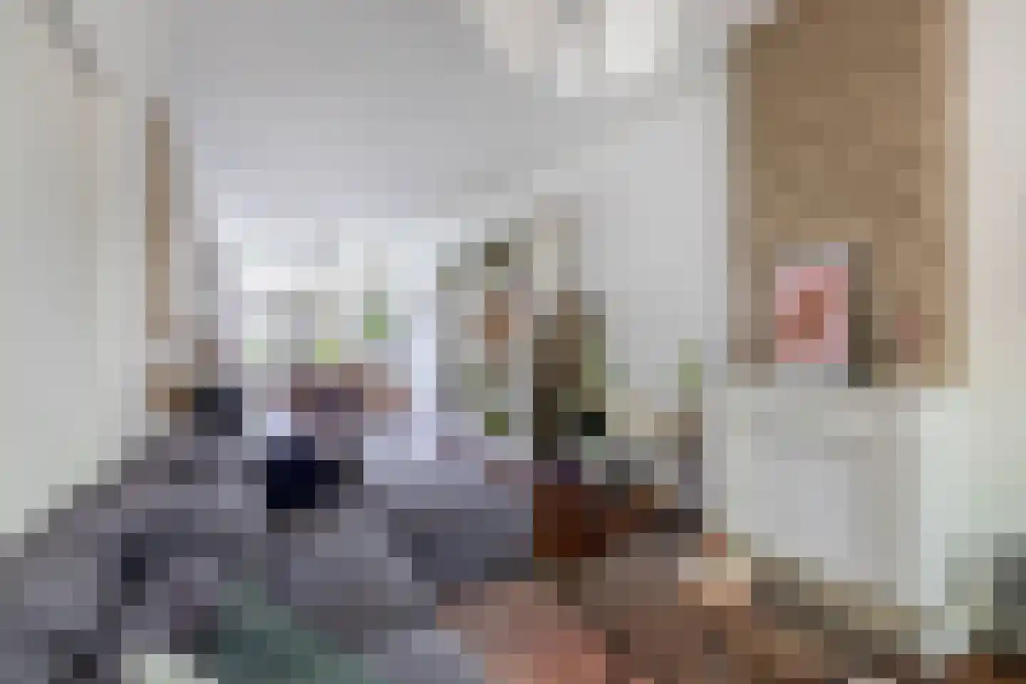 Rodenrijselaan 26 A Rotterdam thumbnail 9