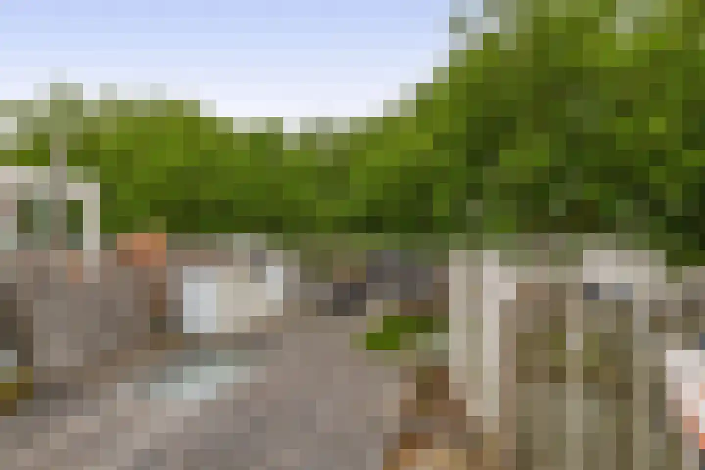 Rodenrijselaan 26 B Rotterdam thumbnail 31