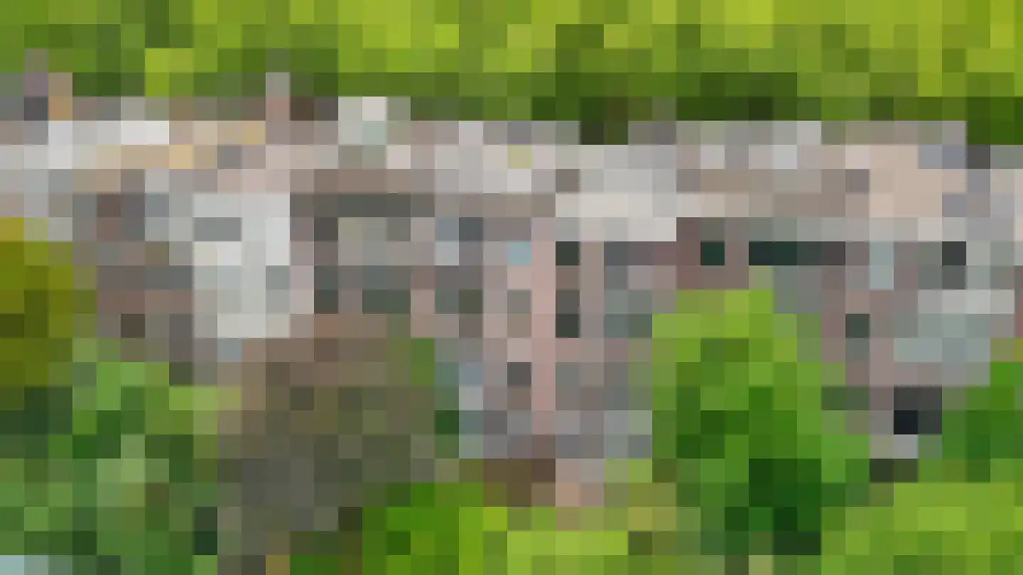 Rodenrijselaan 26 B Rotterdam thumbnail 33