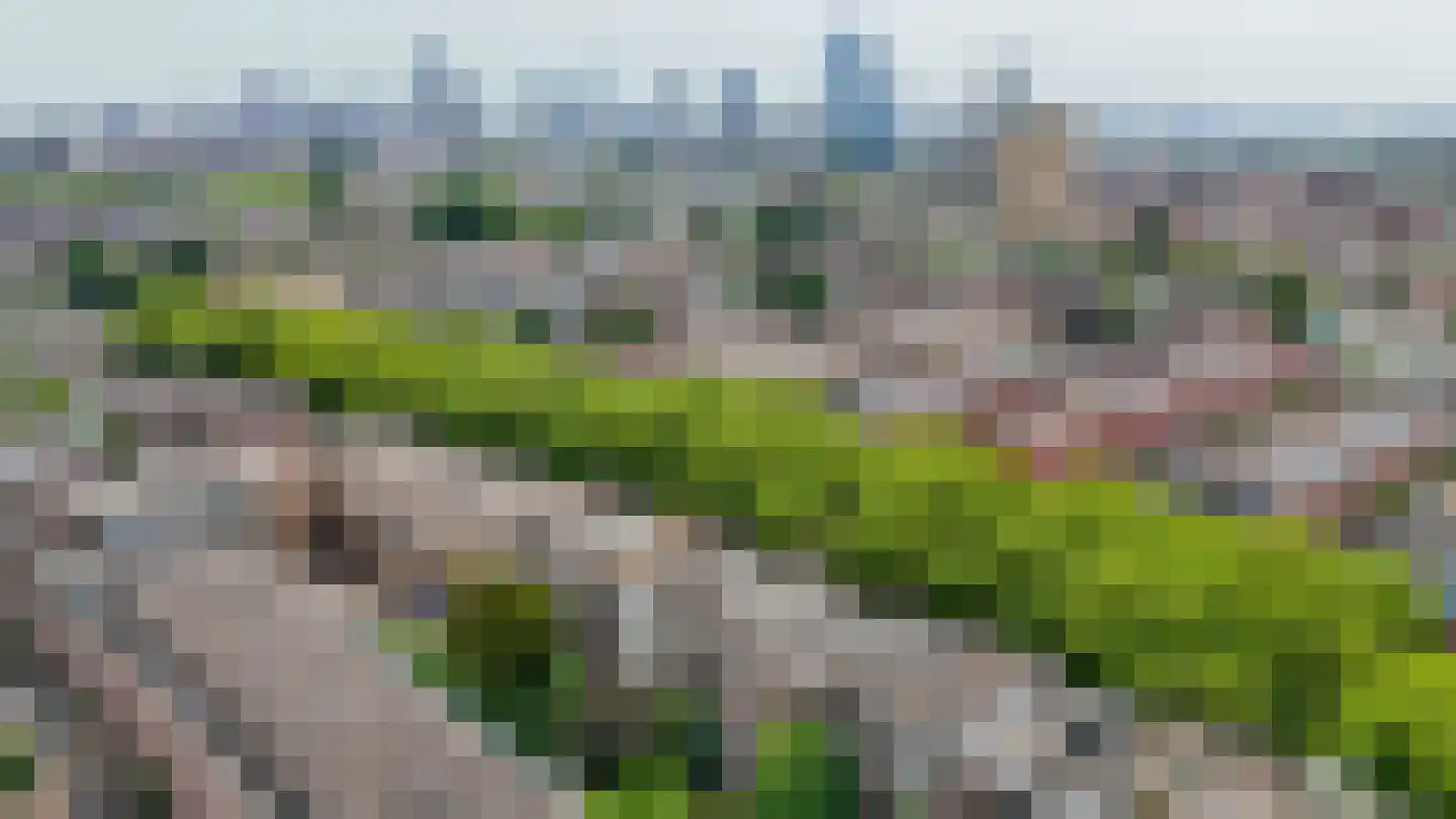 Rodenrijselaan 26 B Rotterdam thumbnail 35