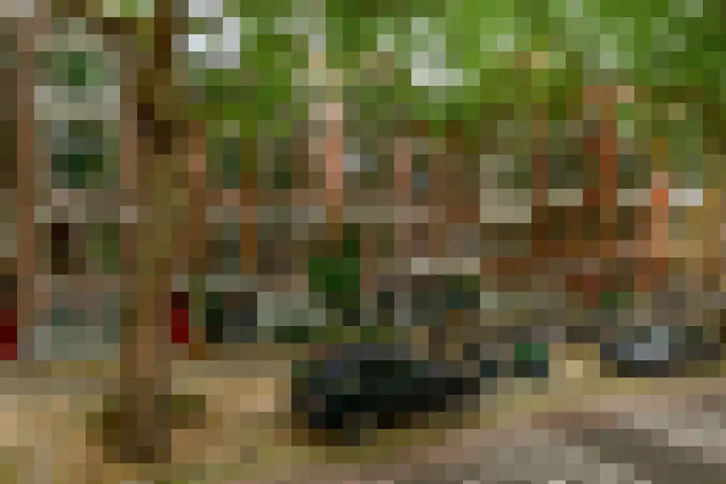 Rodenrijselaan 26 B Rotterdam thumbnail 37