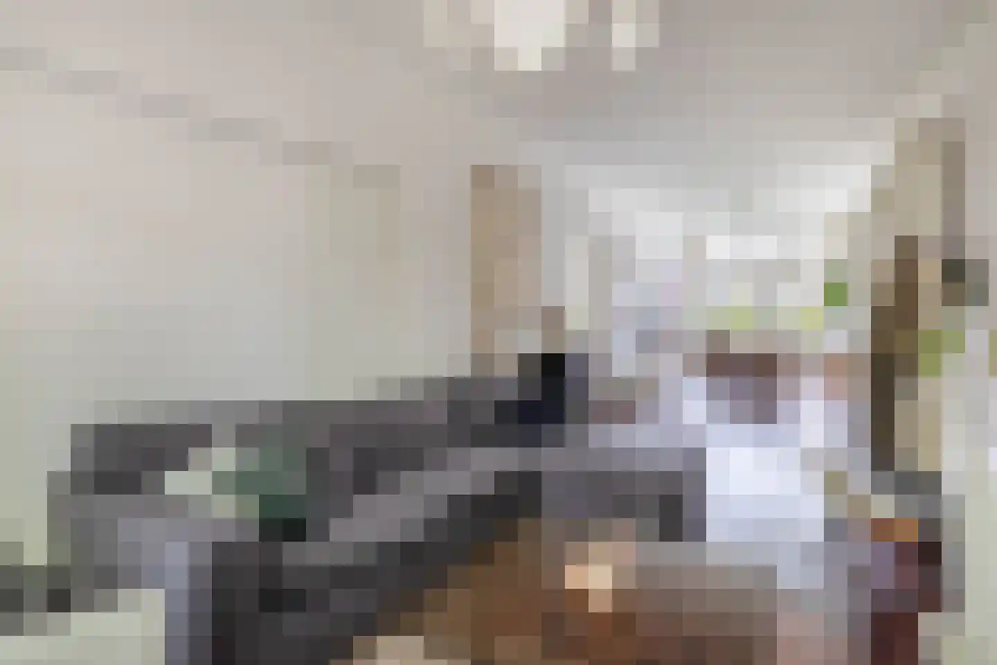 Rodenrijselaan 26 B Rotterdam thumbnail 5