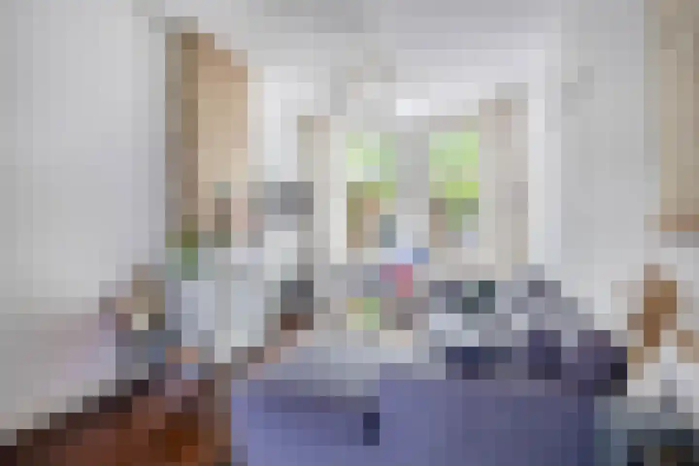 Rodenrijselaan 26 B Rotterdam thumbnail 6
