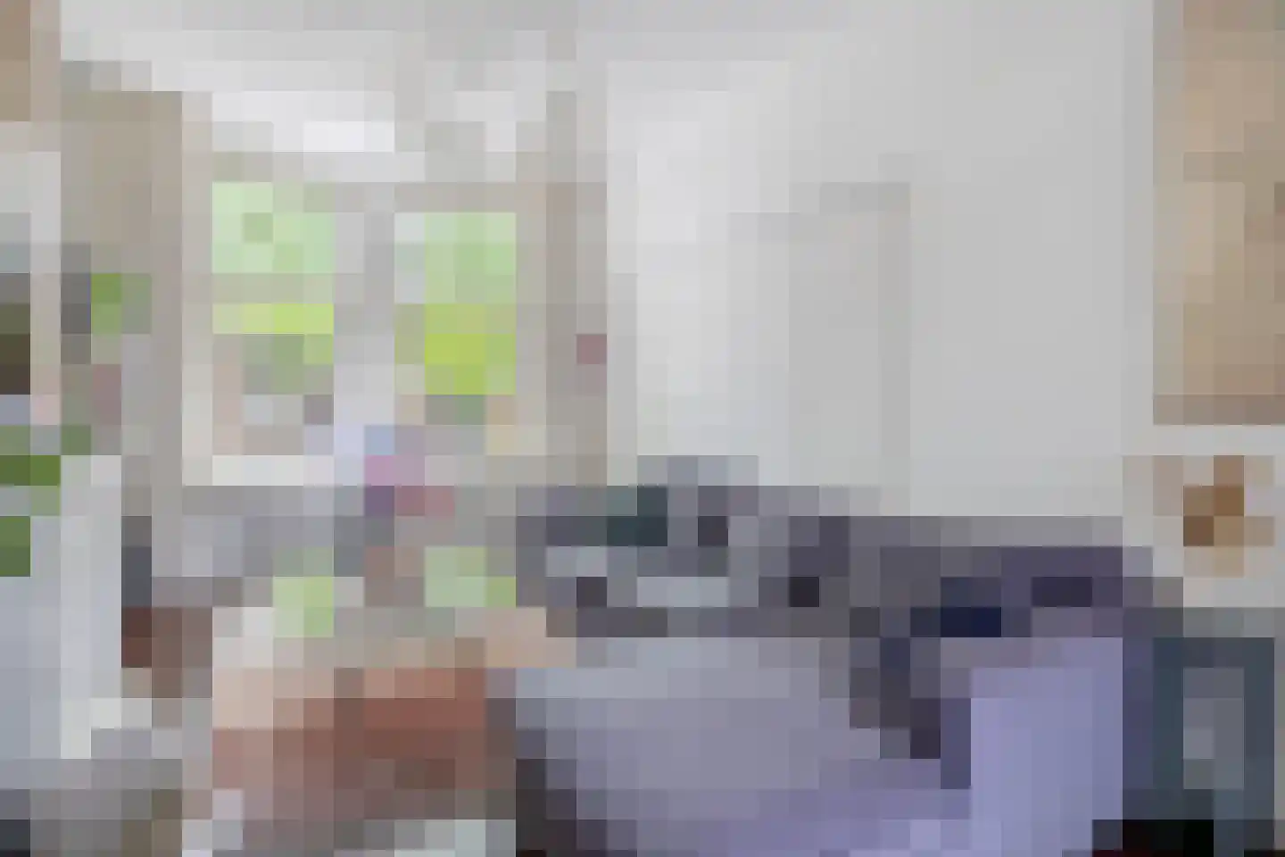 Rodenrijselaan 26 B Rotterdam thumbnail 7