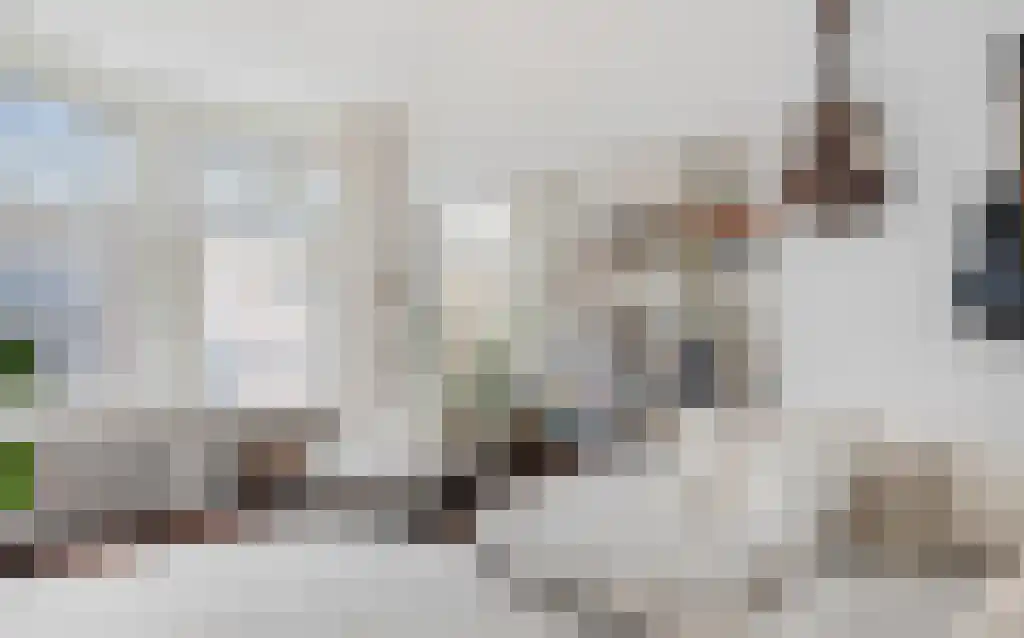 Rodenrijselaan 26 B Rotterdam thumbnail 8