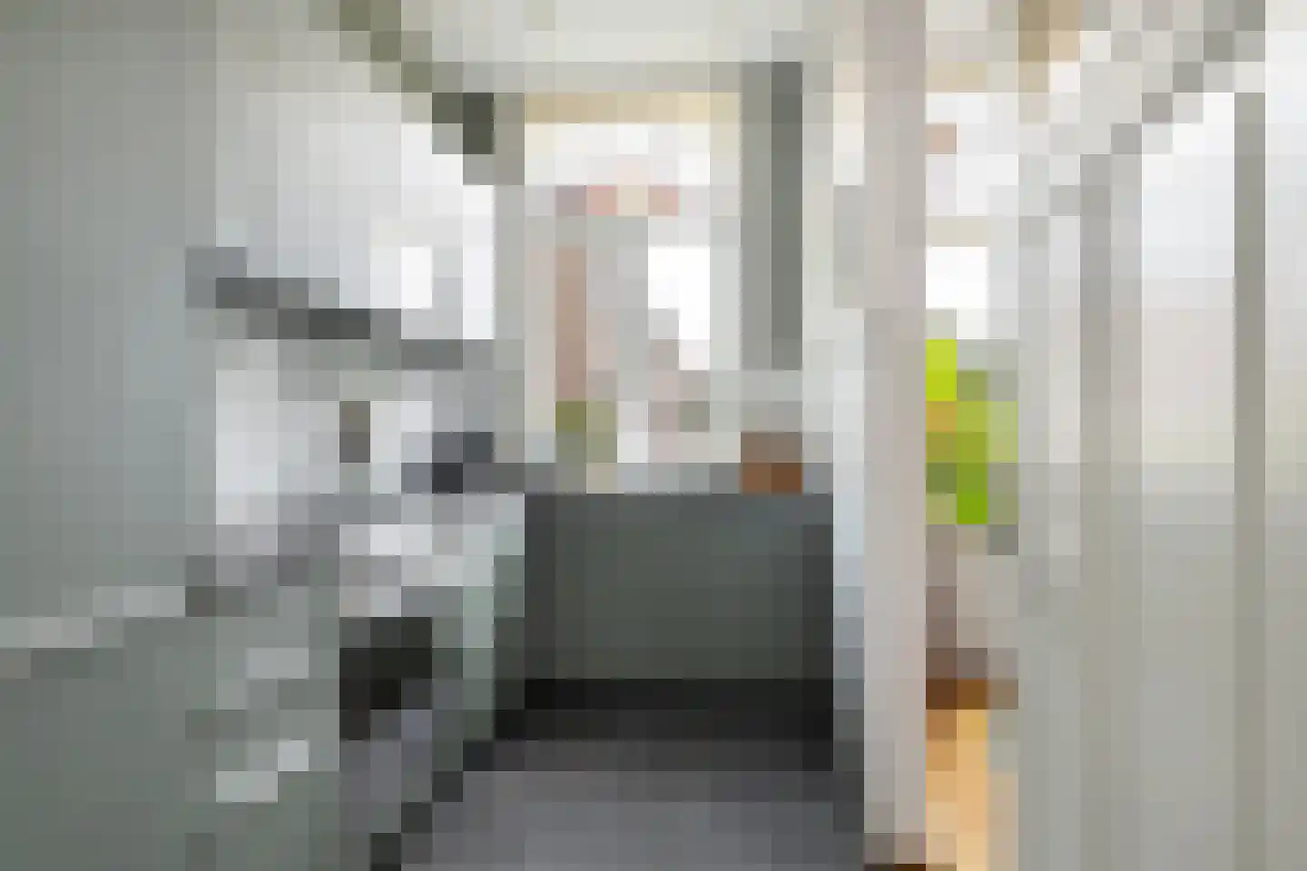 Rodenrijselaan 37 B Rotterdam thumbnail 13
