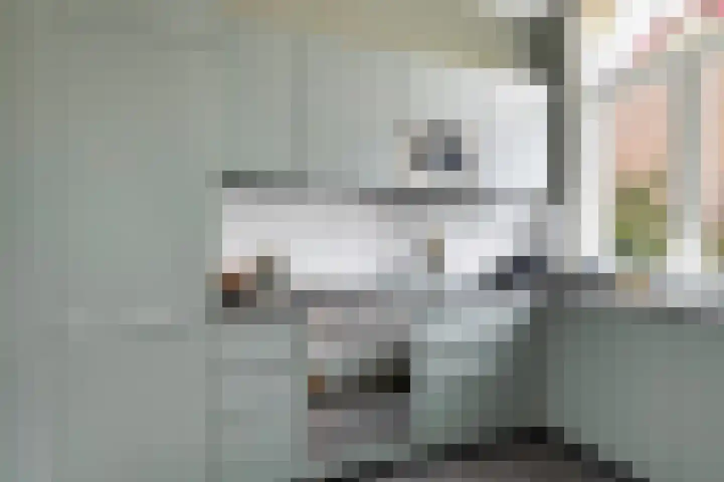 Rodenrijselaan 37 B Rotterdam thumbnail 14