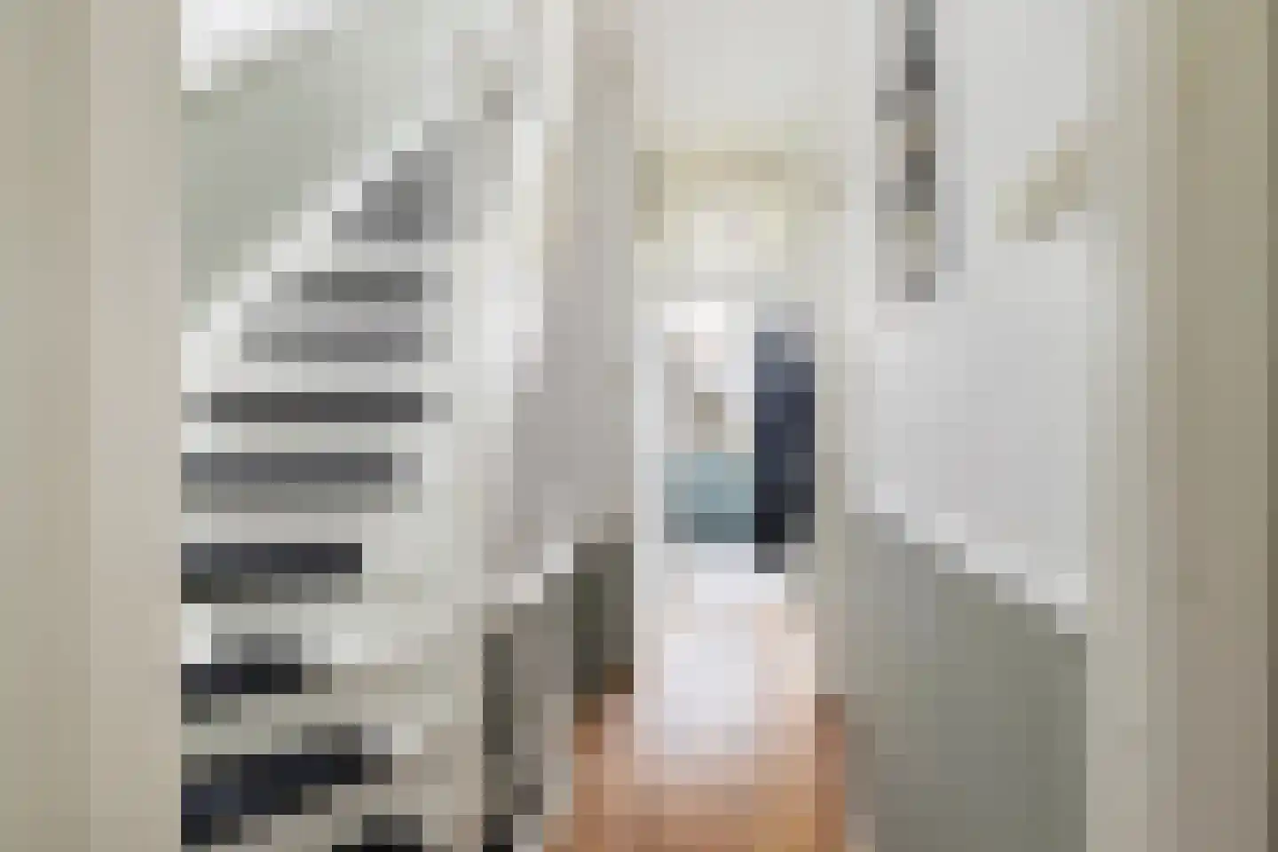 Rodenrijselaan 37 B Rotterdam thumbnail 18