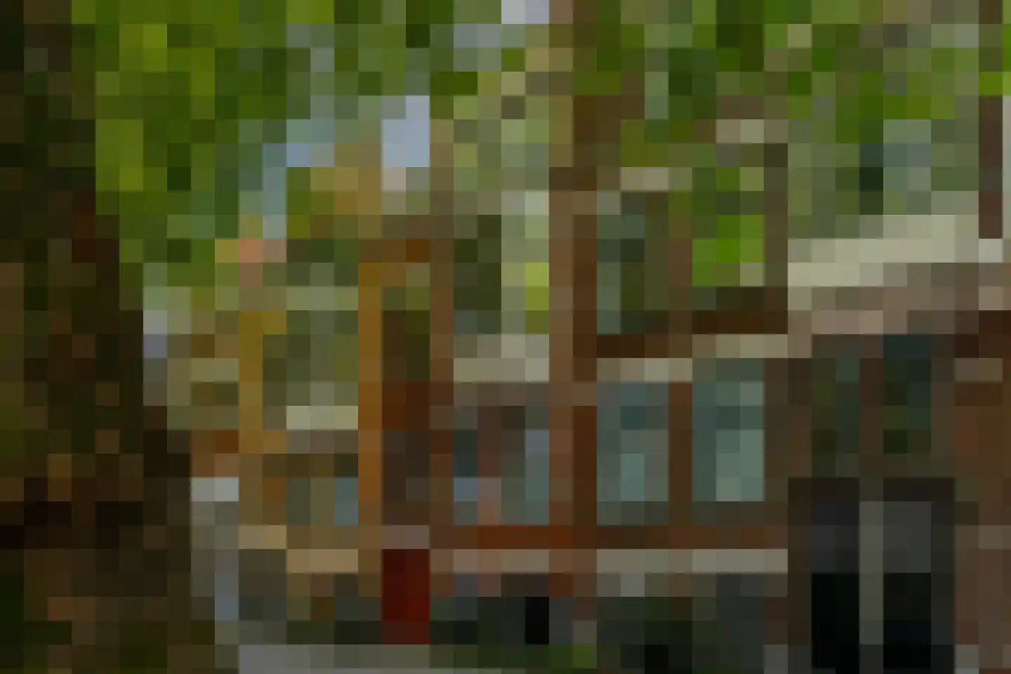 Rodenrijselaan 37 B Rotterdam thumbnail 34