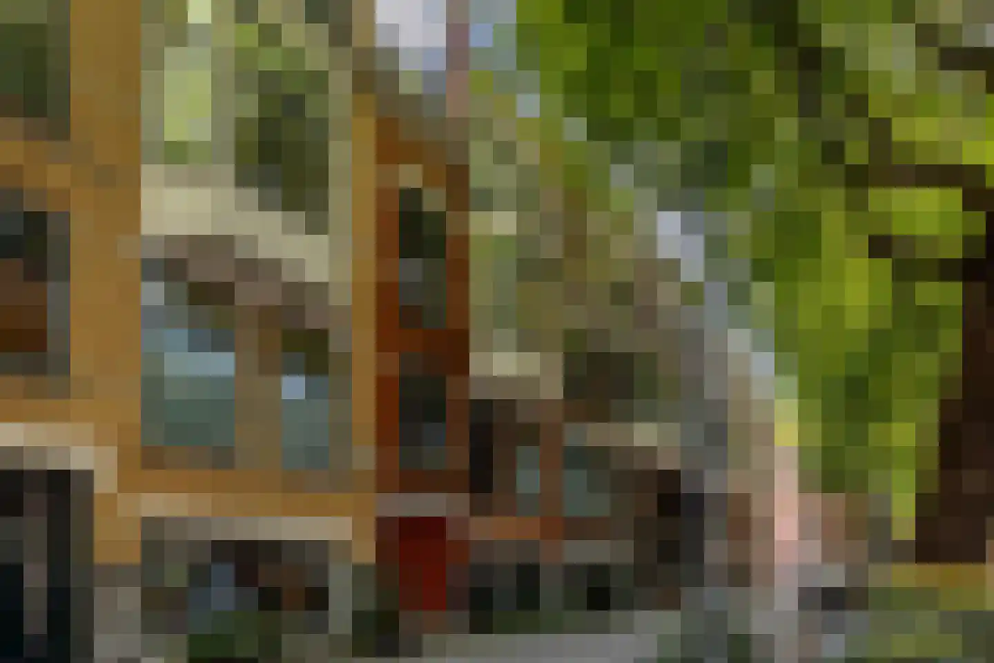 Rodenrijselaan 37 B Rotterdam thumbnail 35