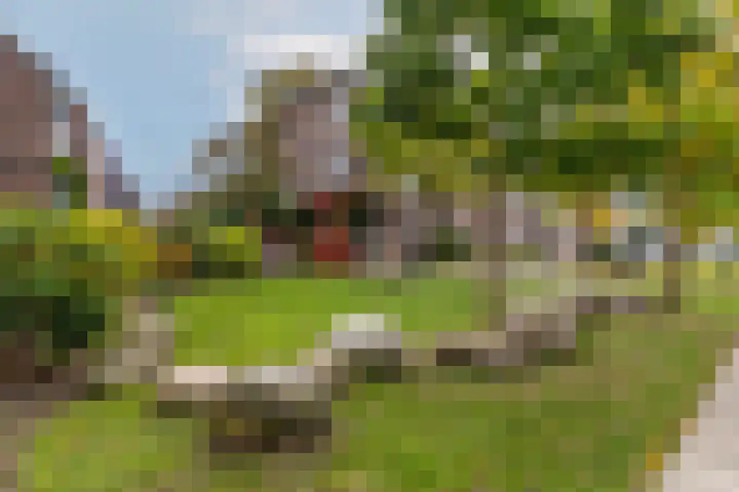 Rodenrijselaan 37 B Rotterdam thumbnail 37