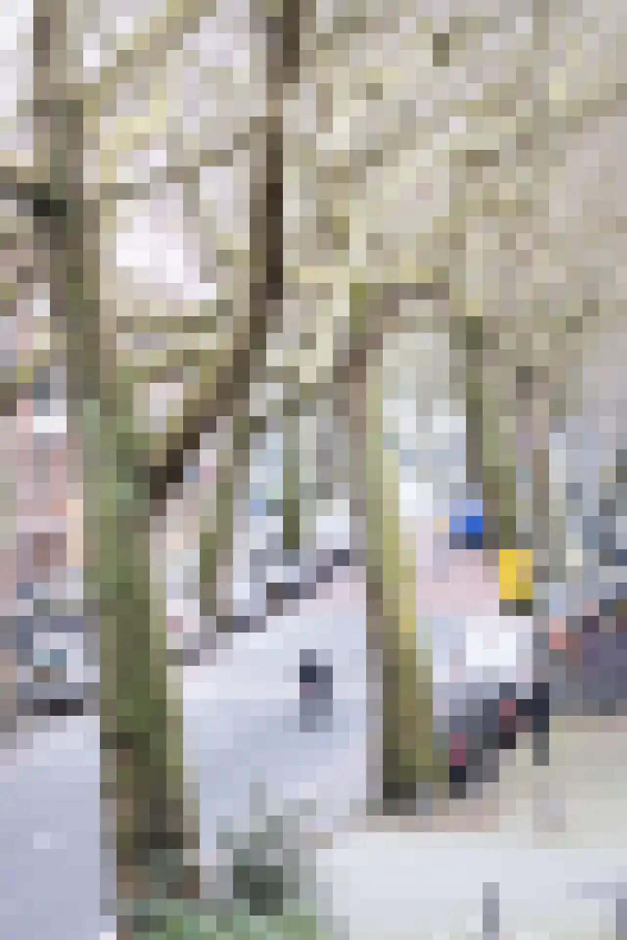 Rodenrijselaan 5 B Rotterdam thumbnail 15