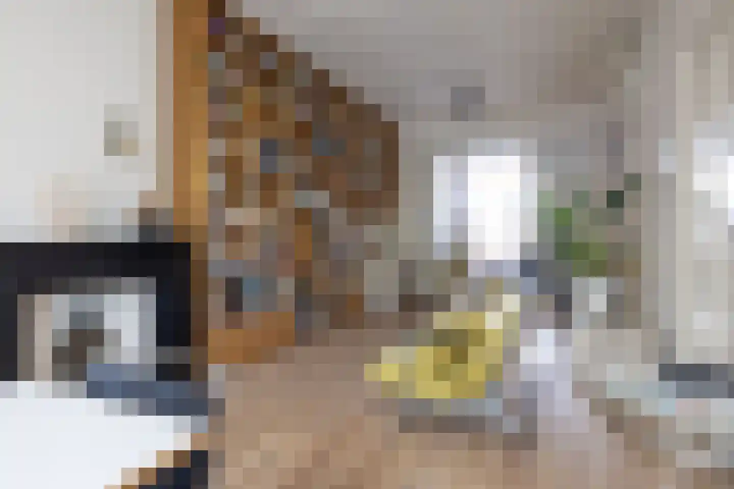 Rodenrijselaan 5 B Rotterdam thumbnail 22