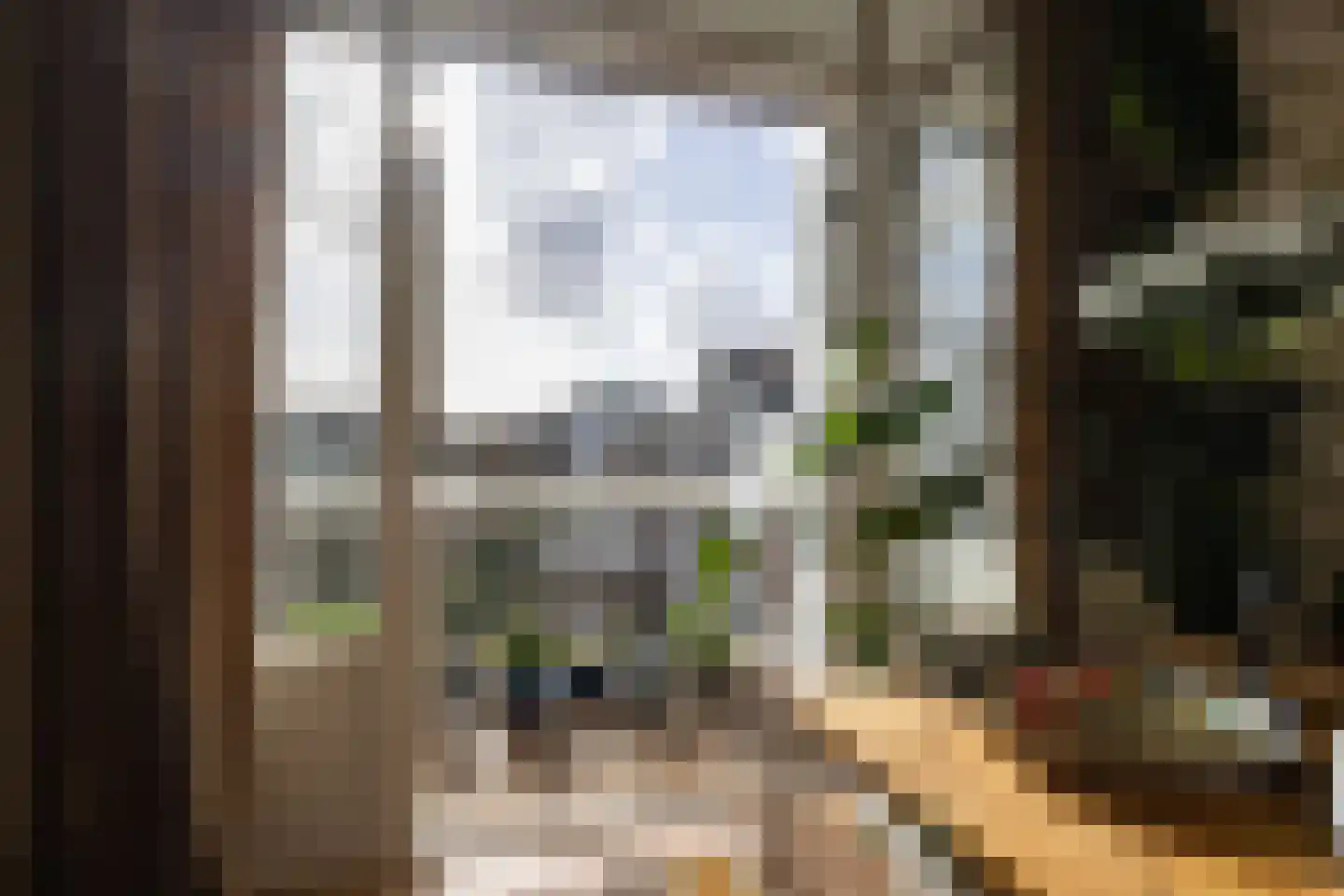 Rodenrijselaan 5 B Rotterdam thumbnail 25