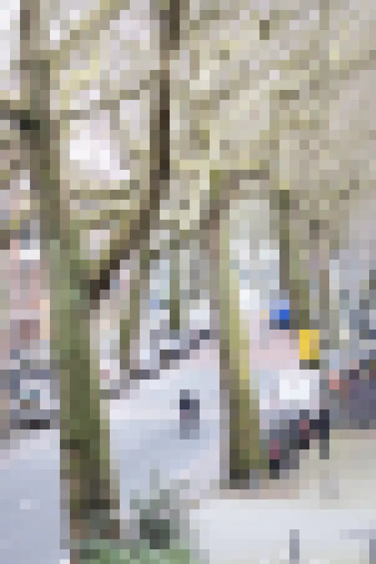 Rodenrijselaan 5 B Rotterdam thumbnail 26