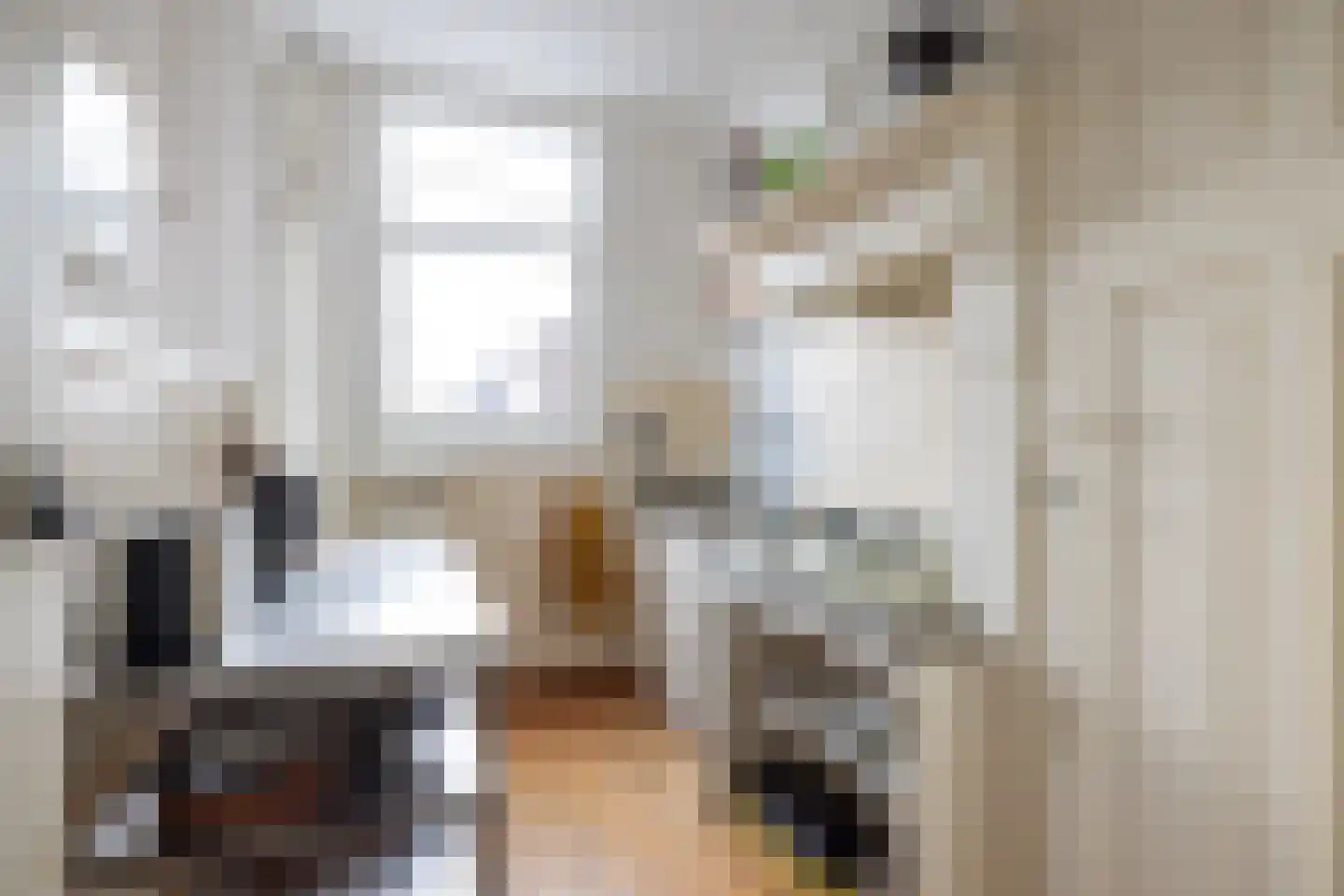 Rodenrijselaan 5 B Rotterdam thumbnail 28