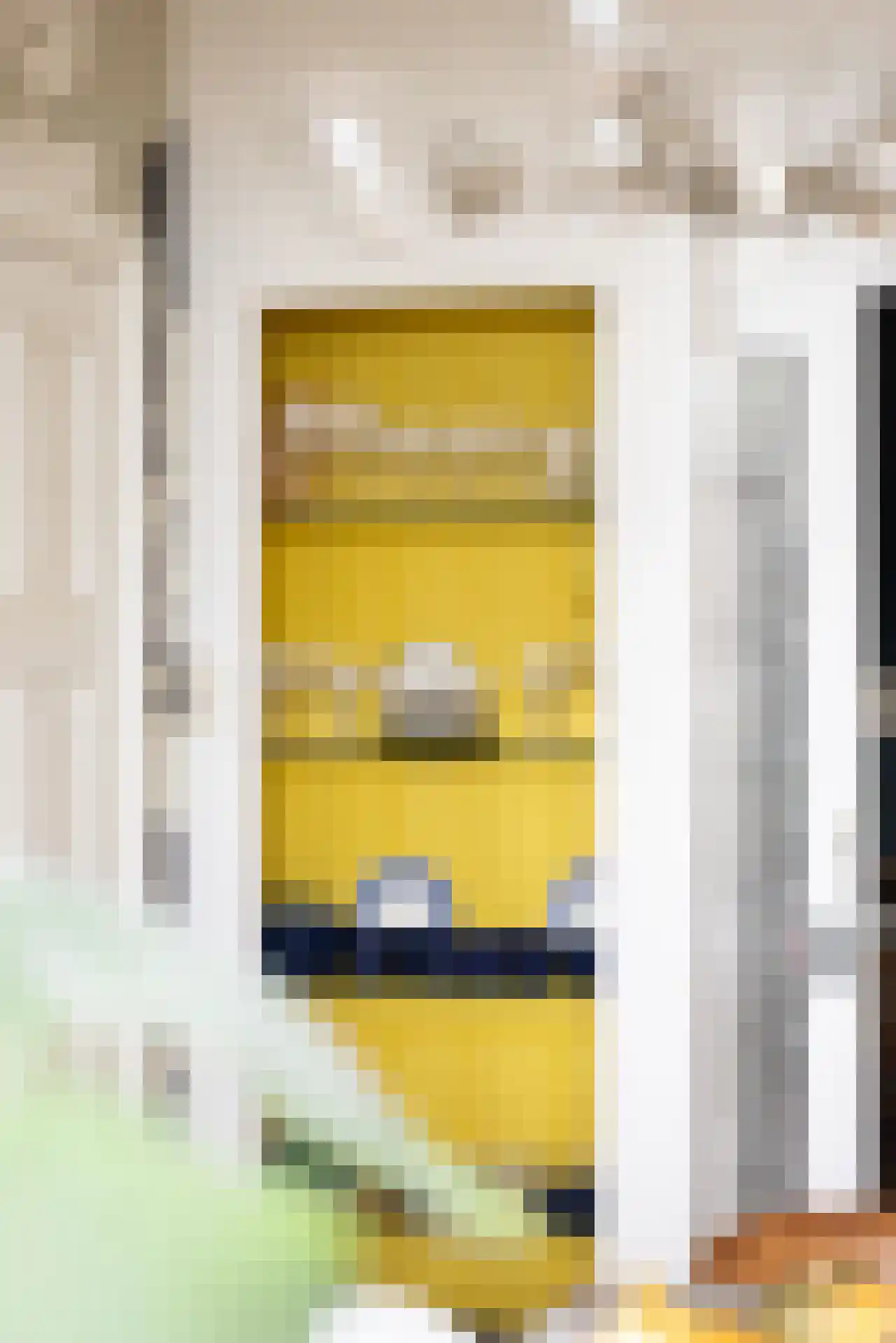 Rodenrijselaan 5 B Rotterdam thumbnail 34